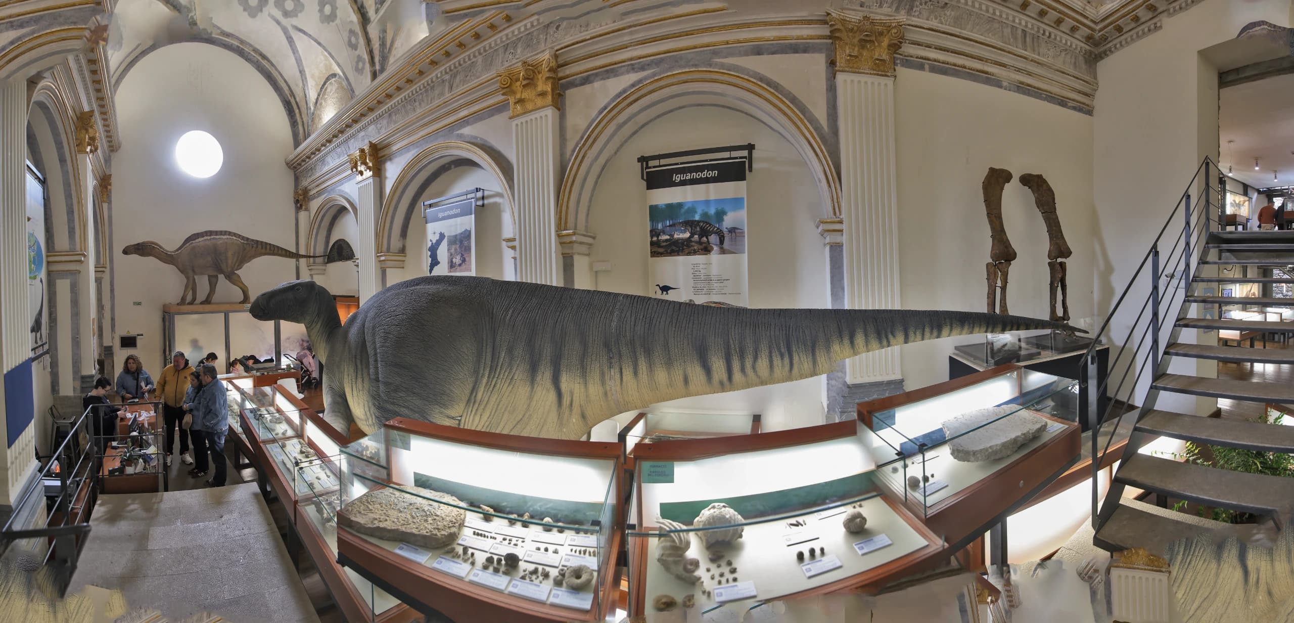 Museo Tiempo de Dinosaurios