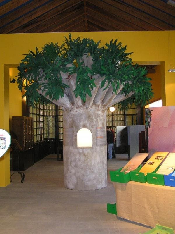 Centro de Plantas Medicinales de Tejeda