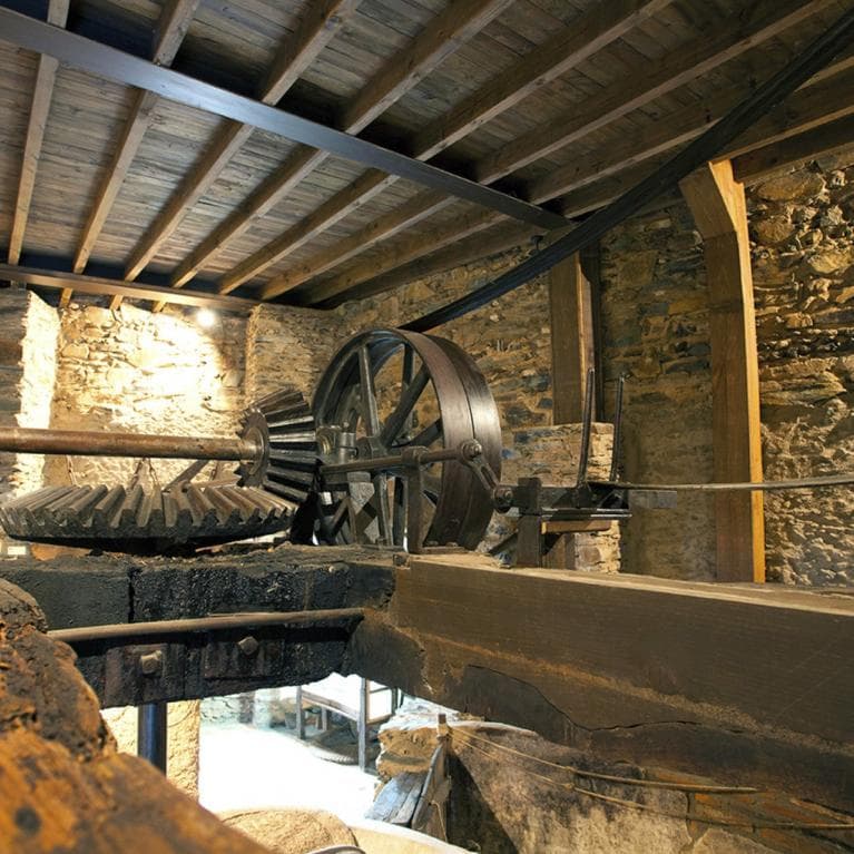 Museo del Aceite