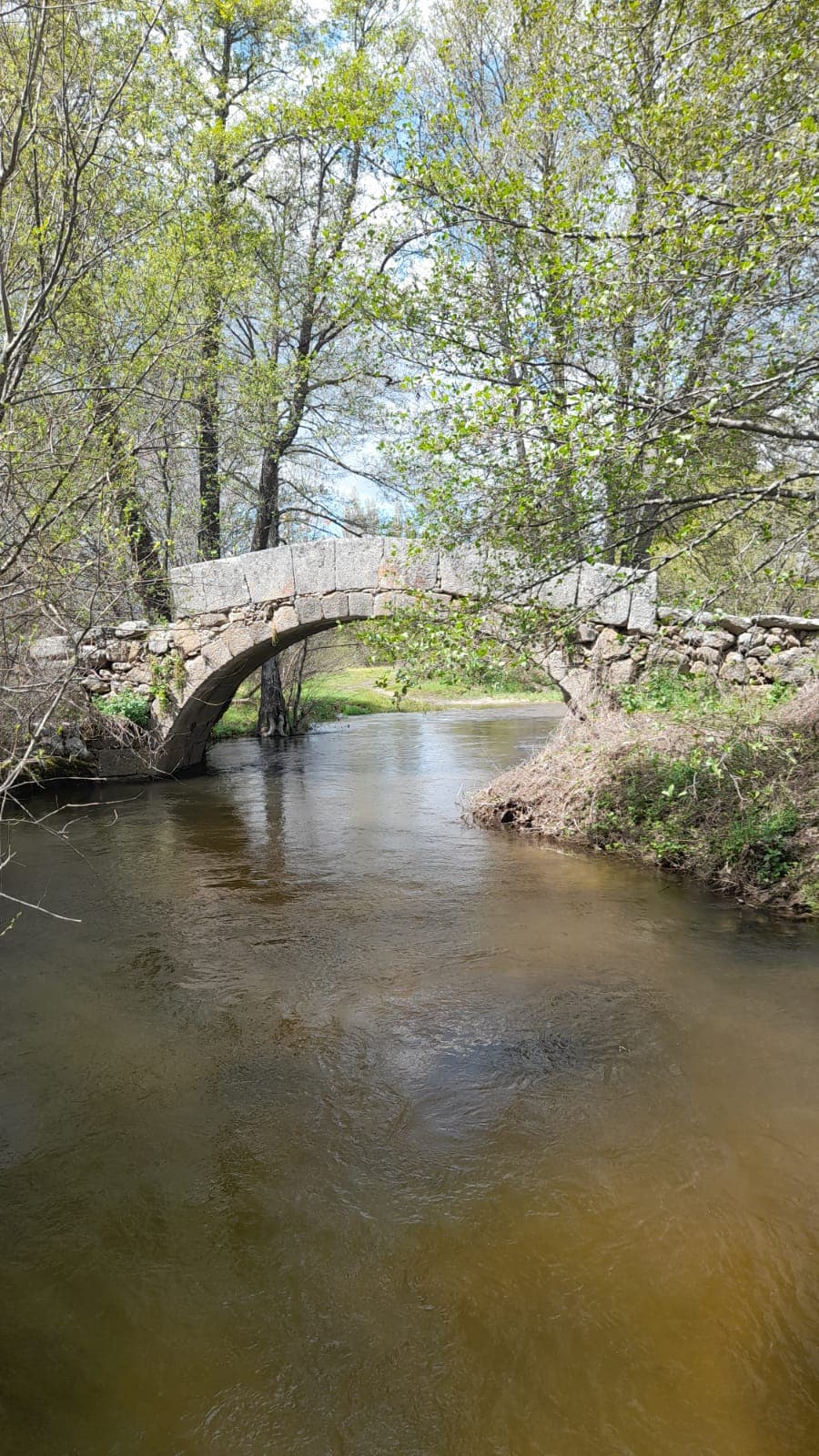 Puente del Chuy